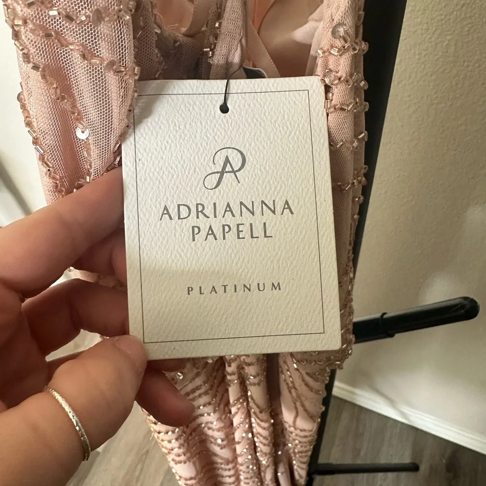Blush Pageant/Prom Dress - Picture 2 of 4